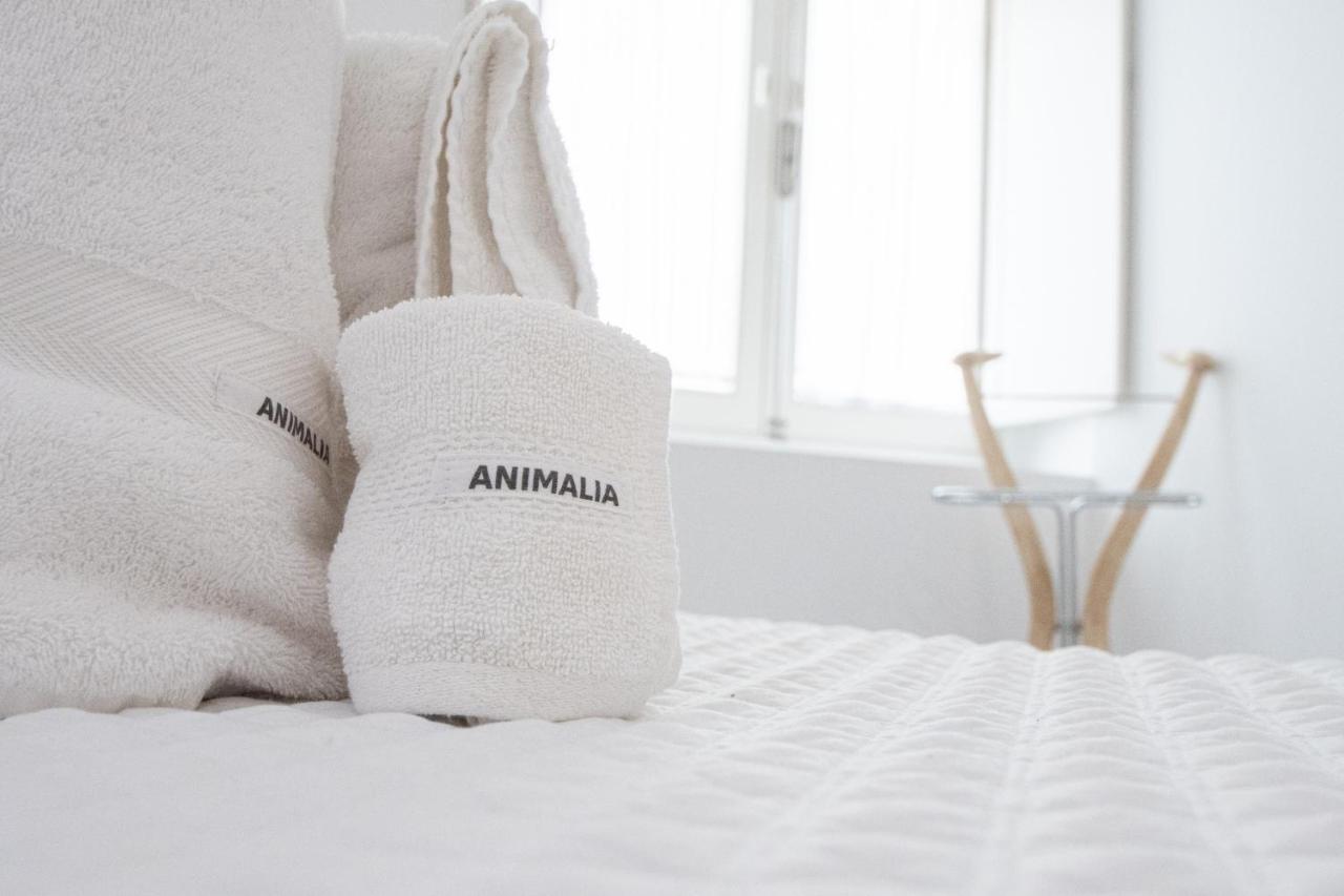 Apartamento Animalia Cadiz Bagian luar foto